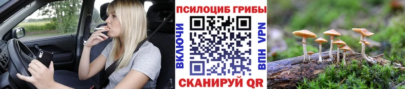 Галлюциногенные грибы Cubensis  Дедовск 