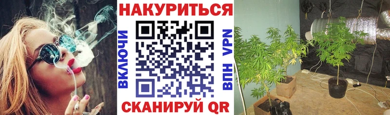 цены наркотик  Дедовск  Бошки Шишки SATIVA & INDICA 